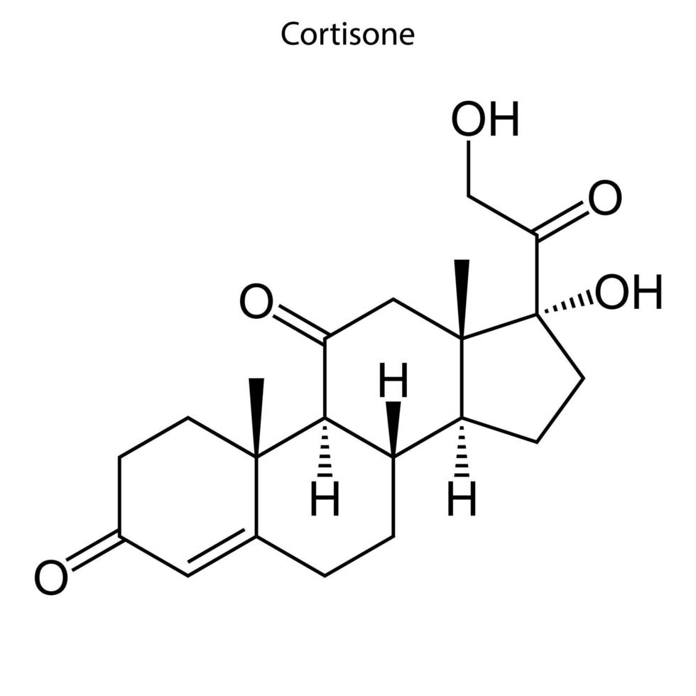 molecola di steroidi di formula scheletrica. vettore