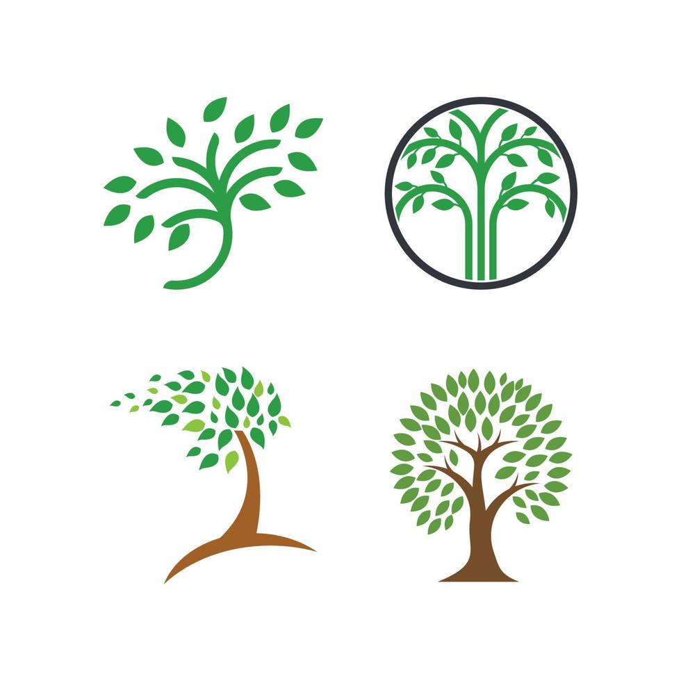 vettore di logo di ecologia dell'albero