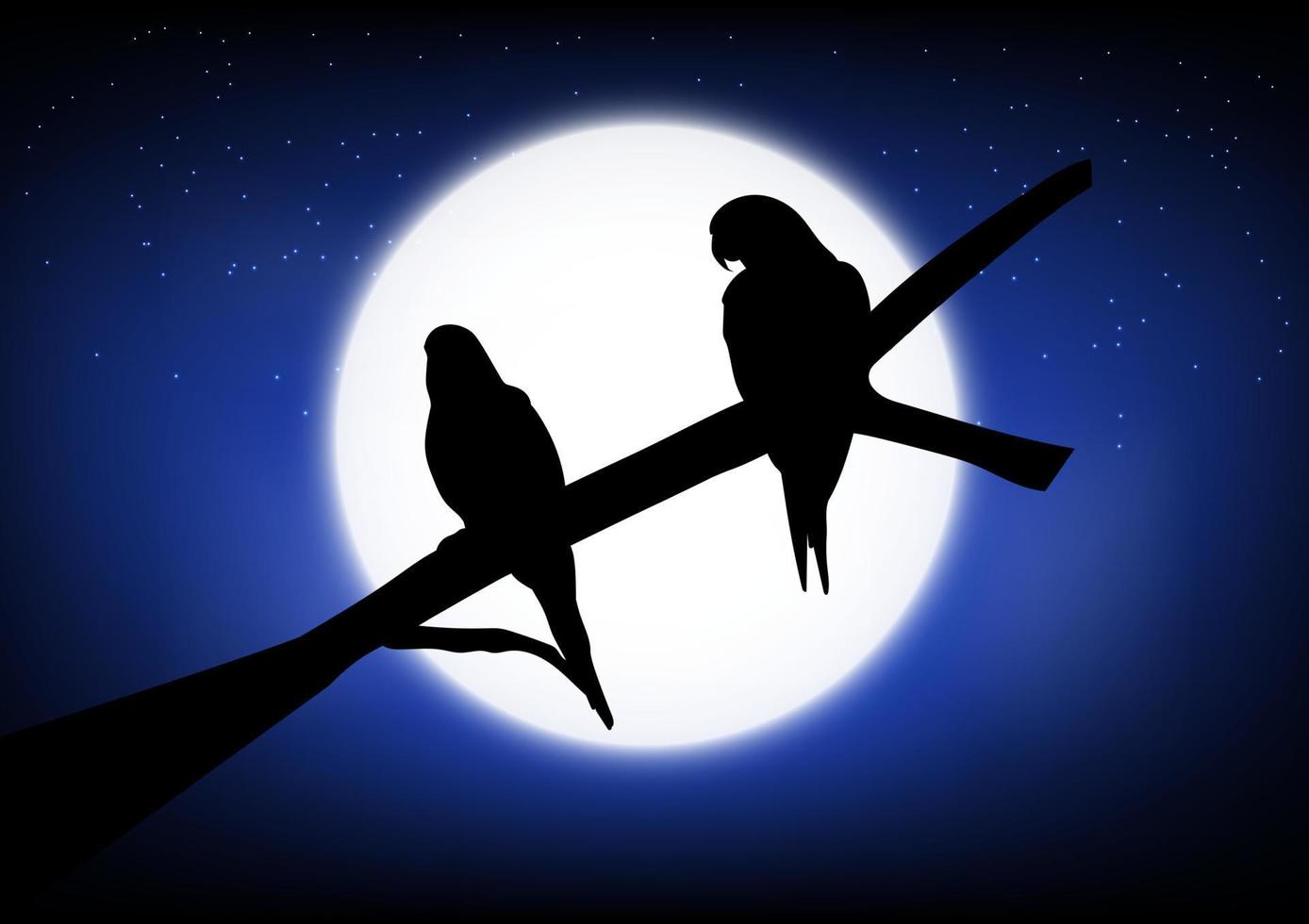 grafica disegno silhouette due uccelli in piedi su un ramo con sfondo luna una notte, illustrazione vettoriale