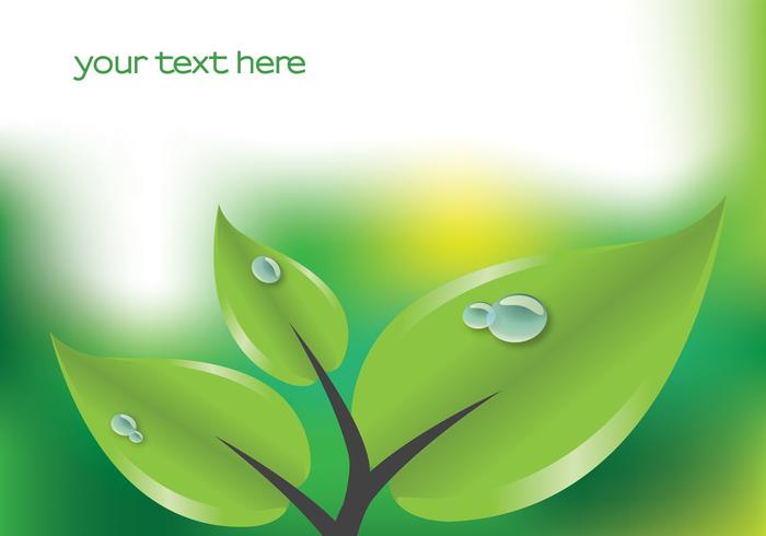 Green Leaf with Droplets Background Vector