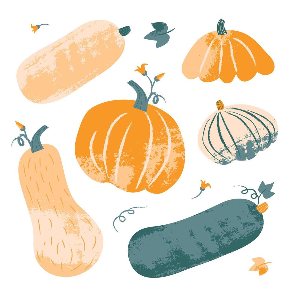 set di zucca strutturata in colori pastello. illustrazione vettoriale colorato disegnato a mano. stile timbro artigianale