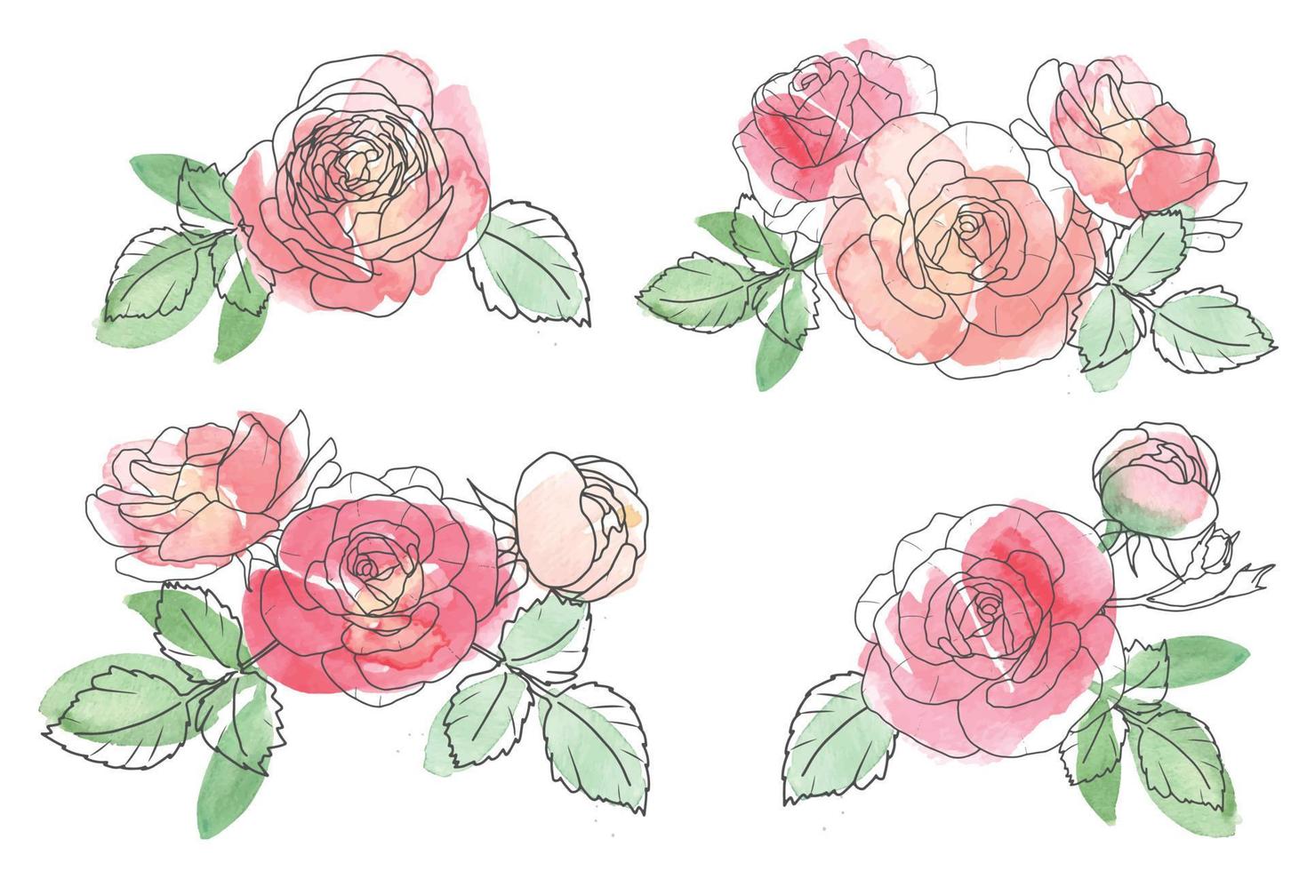 collezione di bouquet di fiori di rosa con linea sciolta dell'acquerello vettore