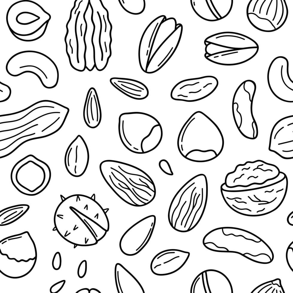 modello senza cuciture disegnato a mano di noci e semi doodle. mandorla, nocciola, pistacchio, macadamia, anacardi, noce in stile schizzo. illustrazione vettoriale