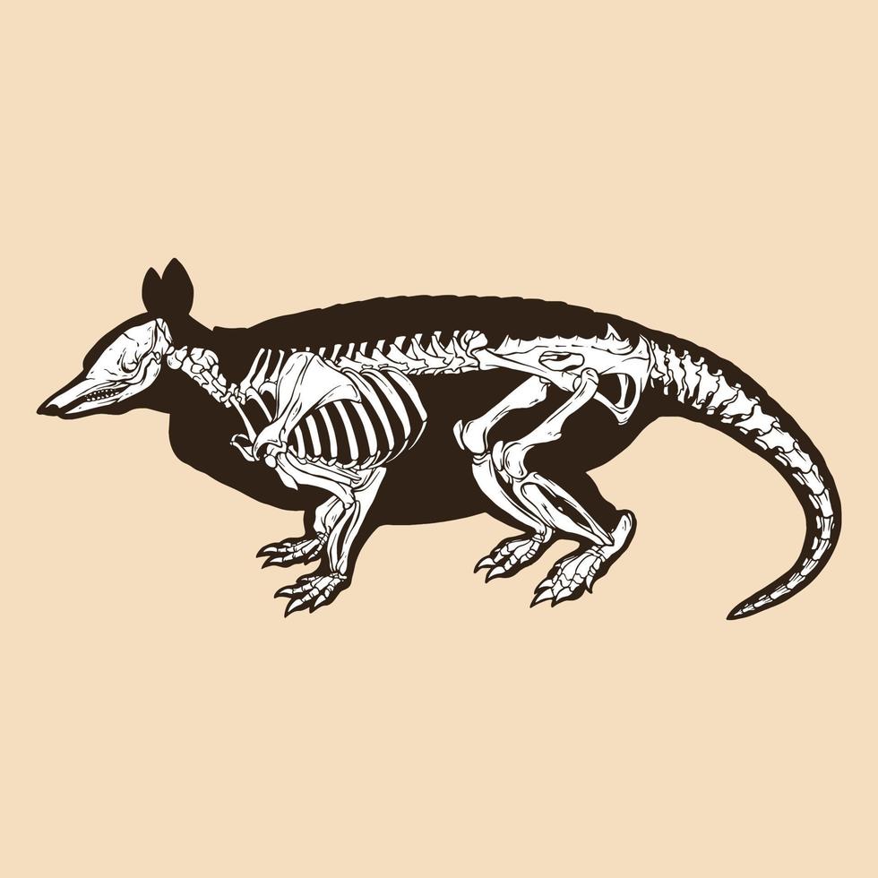 illustrazione vettoriale dell'armadillo a nove bande dello scheletro