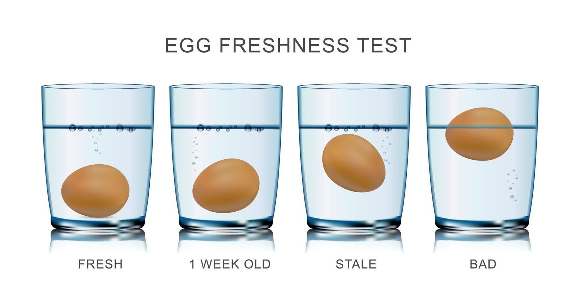 infografica del test di freschezza delle uova vettore