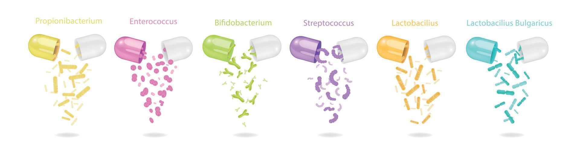 set di capsule di probiotici vettore