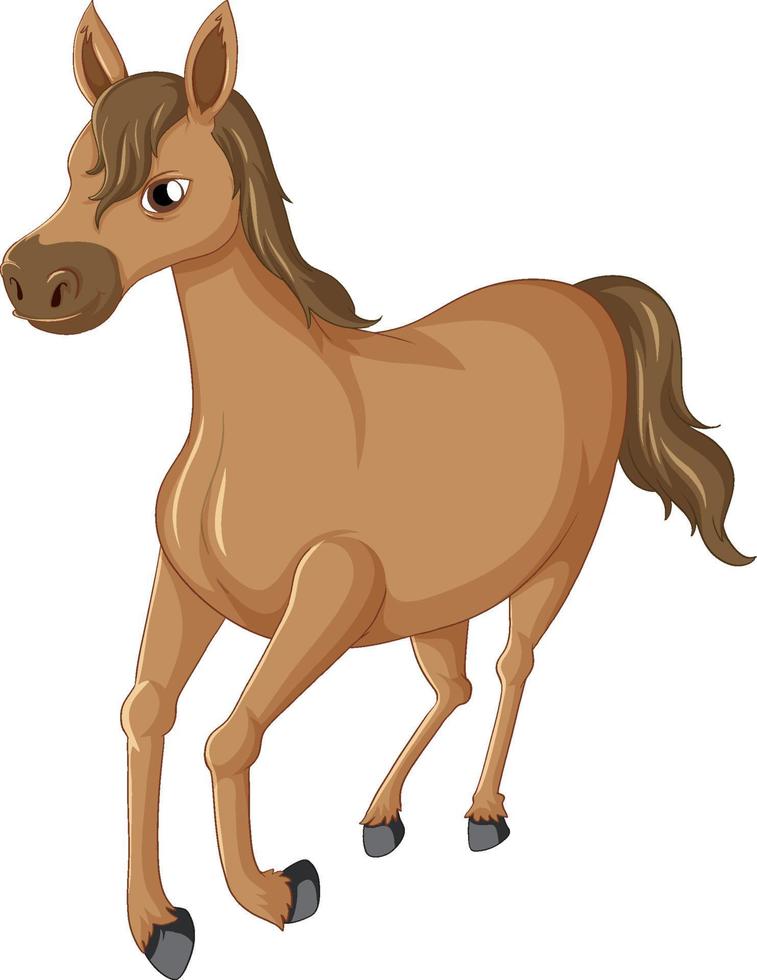 un bel cavallo marrone su sfondo bianco vettore