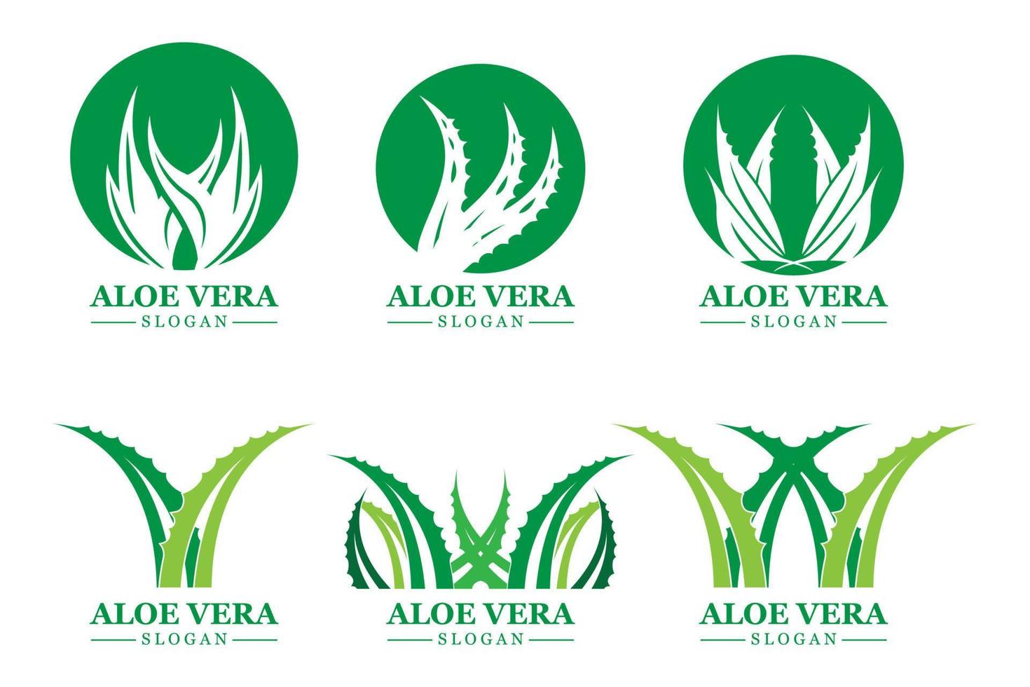 pianta verde aloe vera logo vettore icona simbolo molti vantaggi