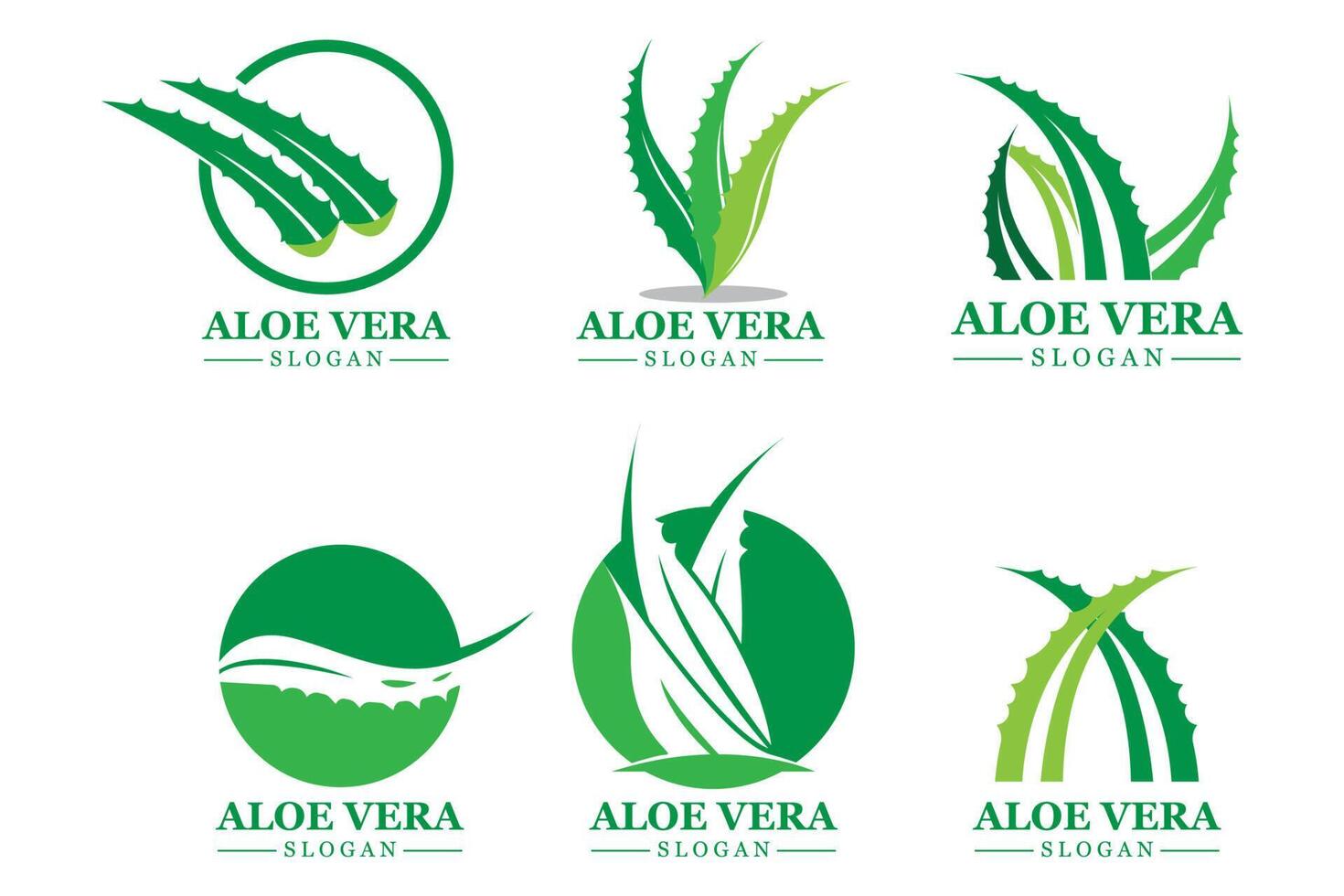 pianta verde aloe vera logo vettore icona simbolo molti vantaggi