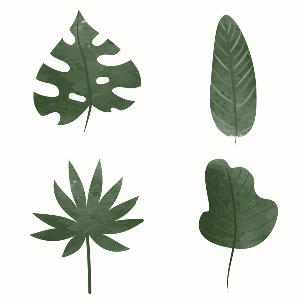 foglie verdi decorative dell'acquerello, palma e monstera. rami di albero con foglie, illustrazione vettoriale