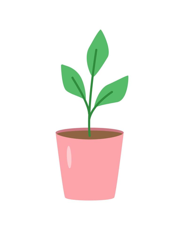 piantine in una pentola, illustrazione vettoriale di piante in uno stile doodle vaso di fiori.
