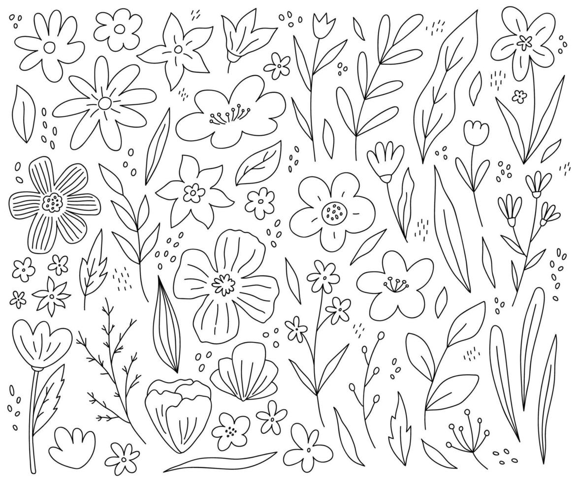 grande set di fiori primaverili, ramoscelli e foglie isolati su sfondo bianco. illustrazione disegnata a mano di vettore in stile doodle. perfetto per carte, decorazioni, disegni vari. elementi clipart botanici.