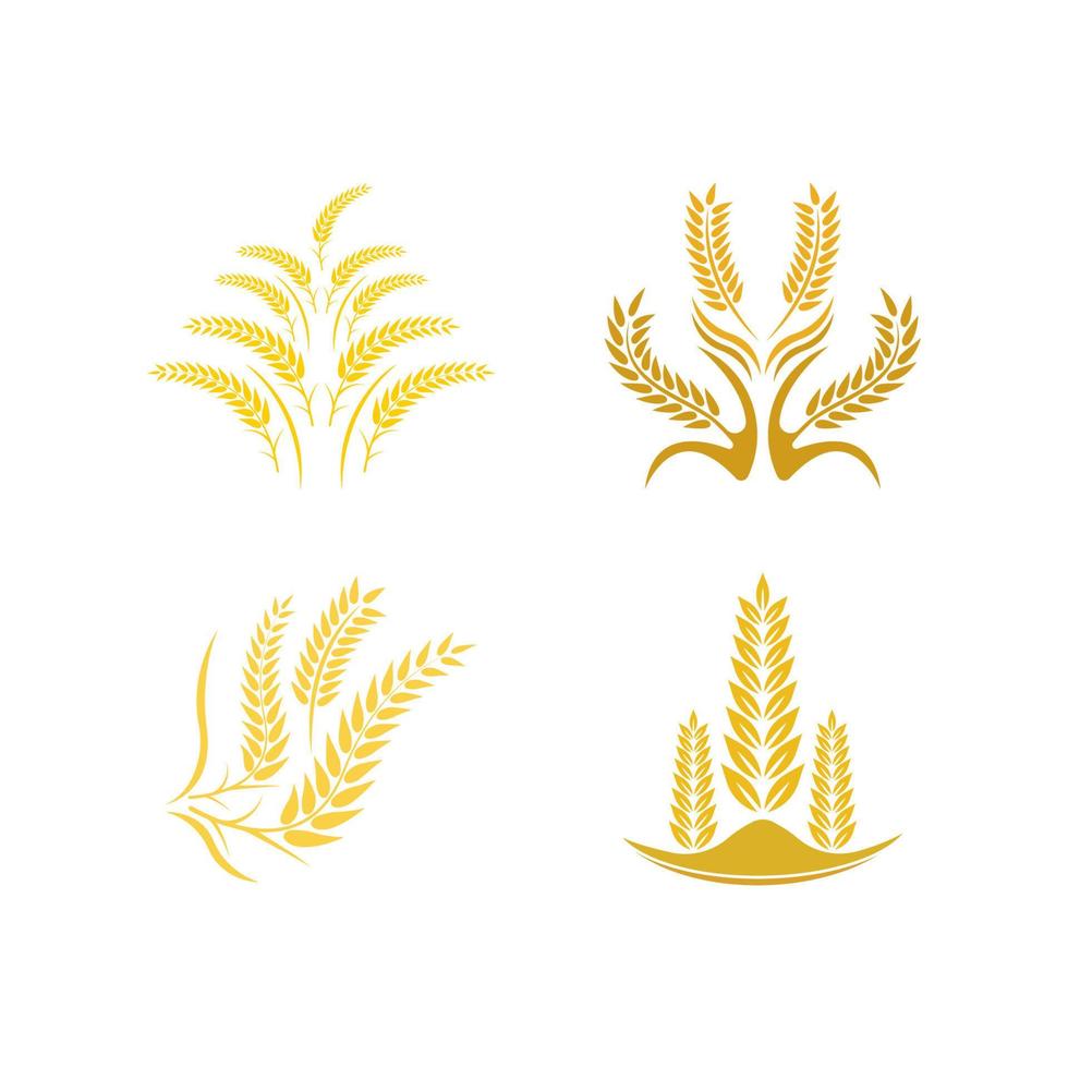 illustrazione dell'icona di vettore del logo del grano