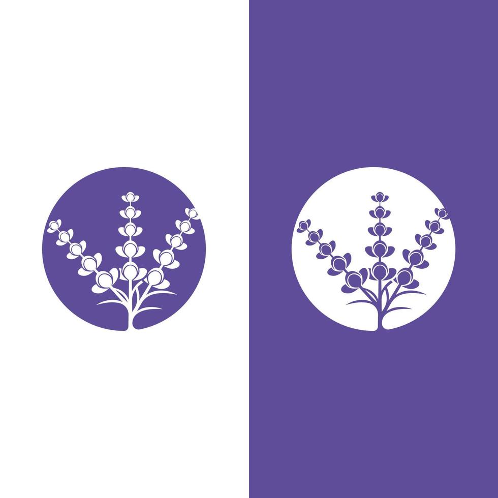 vettore di logo di fiori di lavanda fresca