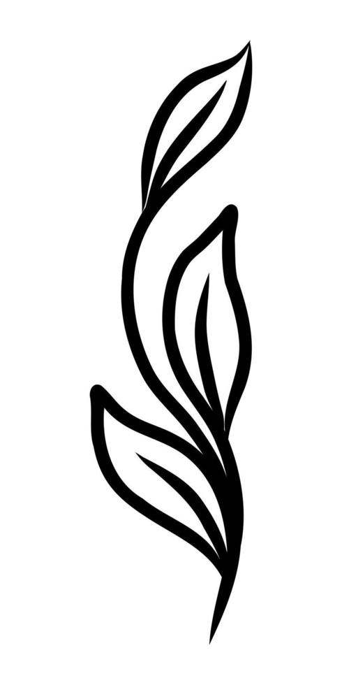 isolato su uno sfondo bianco disegno di contorno di un ramoscello di una pianta vettore