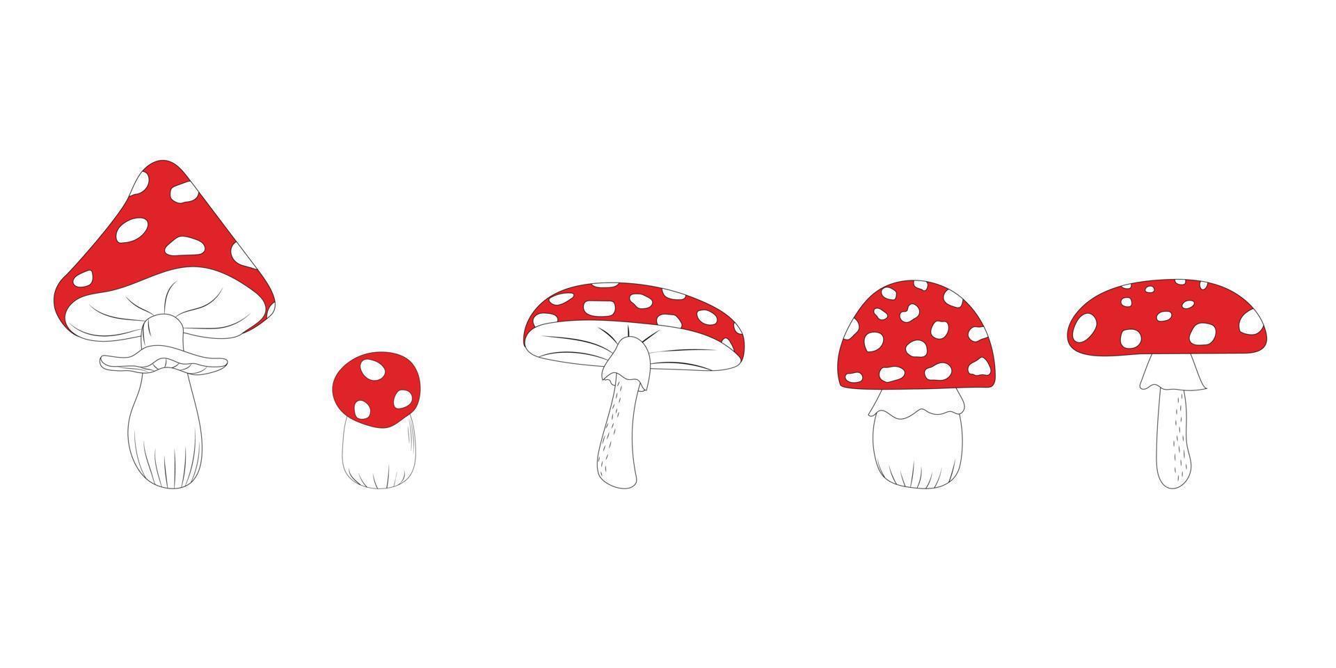 set di cinque funghi agarici rossi luminosi disegnati a mano. illustrazione vettoriale. vettore