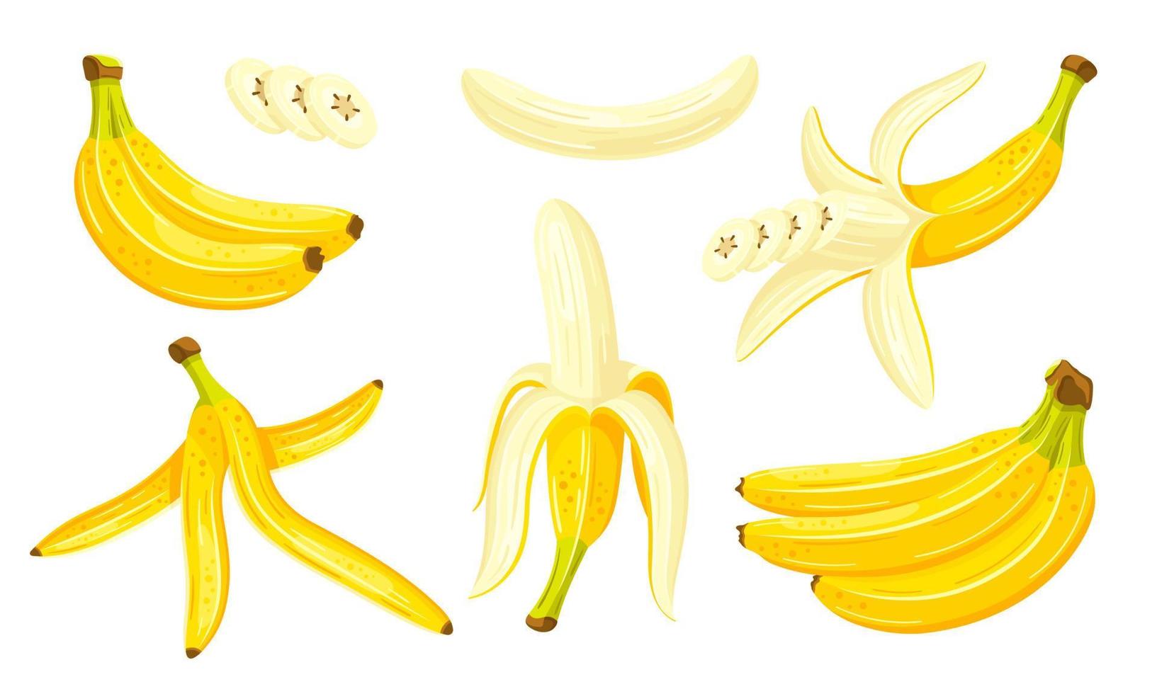 belle banane in stile cartone animato. design piatto. set di banane gialle isolate su uno sfondo bianco. illustrazione vettoriale