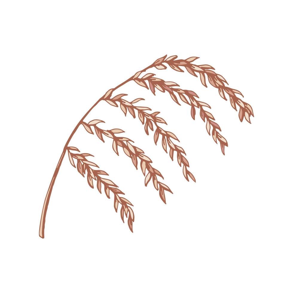 ramo disegnato a mano con foglie isolate su bianco. illustrazione vettoriale in stile schizzo.