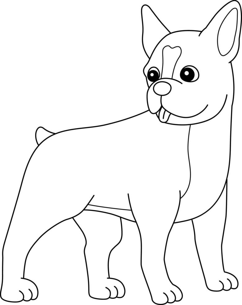 Boston terrier cane da colorare pagina isolata per i bambini vettore