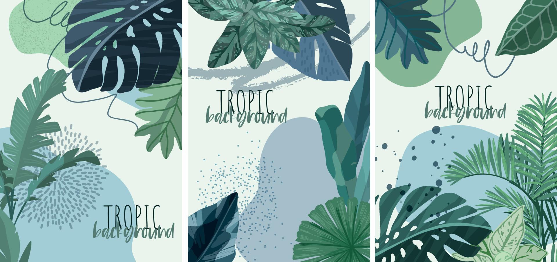 set di tre sfondi tropicali con foglie ed elementi astratti vettore
