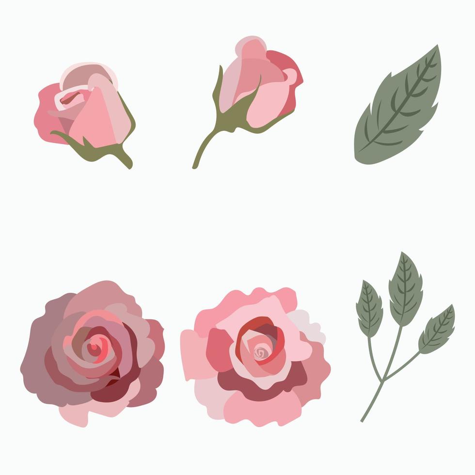 fiore rosa isolato su sfondo bianco vettore