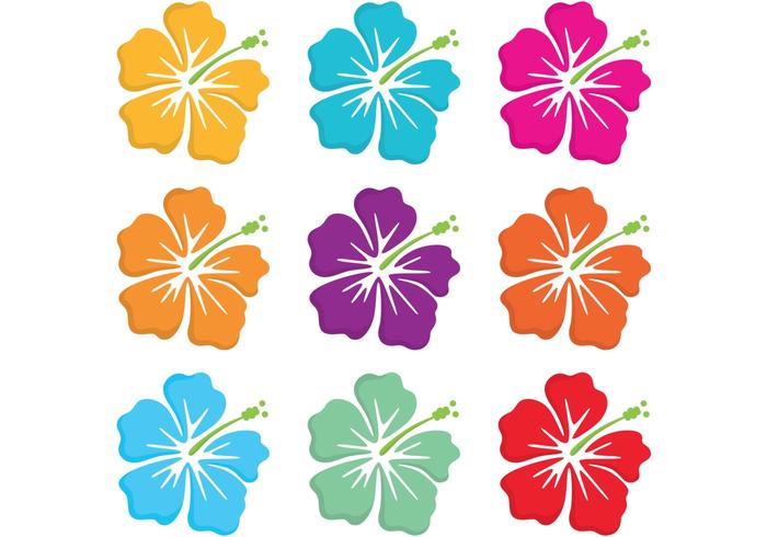 Vettori di fiori polinesiano hawaiano