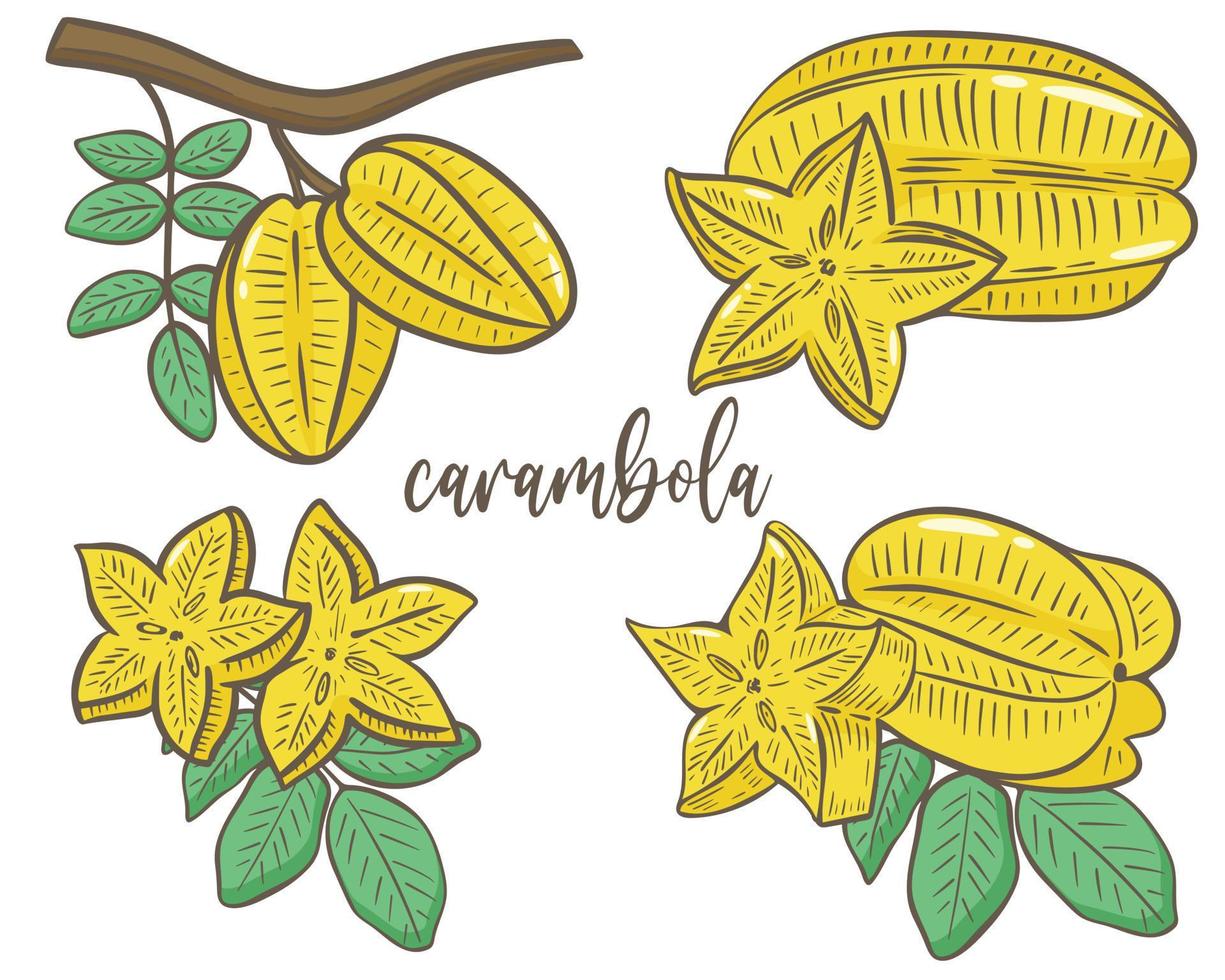 set di carambole illustrazione vettoriale frutti gialli tropicali esotici disegnati a mano