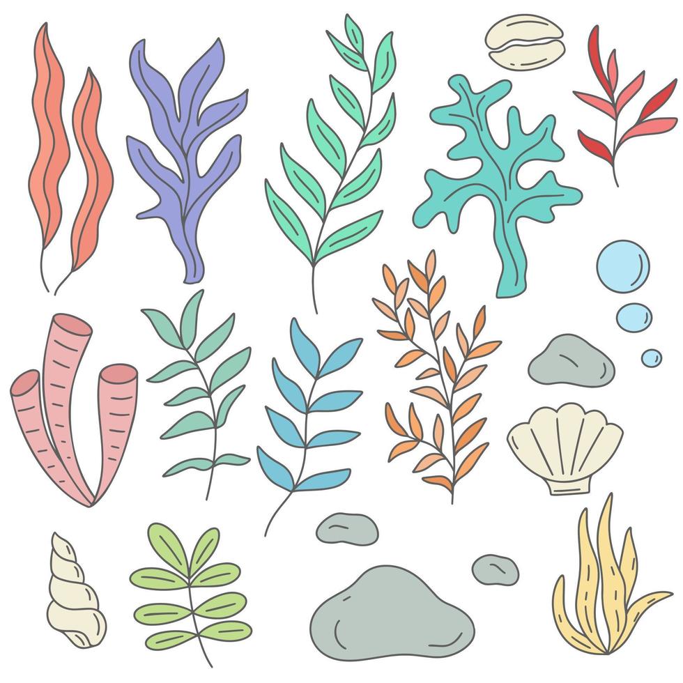 set di illustrazioni vettoriali per conchiglie e pietre di alghe marine e d'acquario