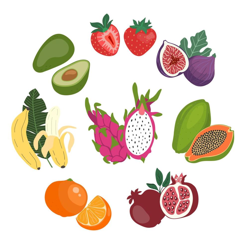 carino illustrazione piatta set di frutta fresca intera e affettata. vettore