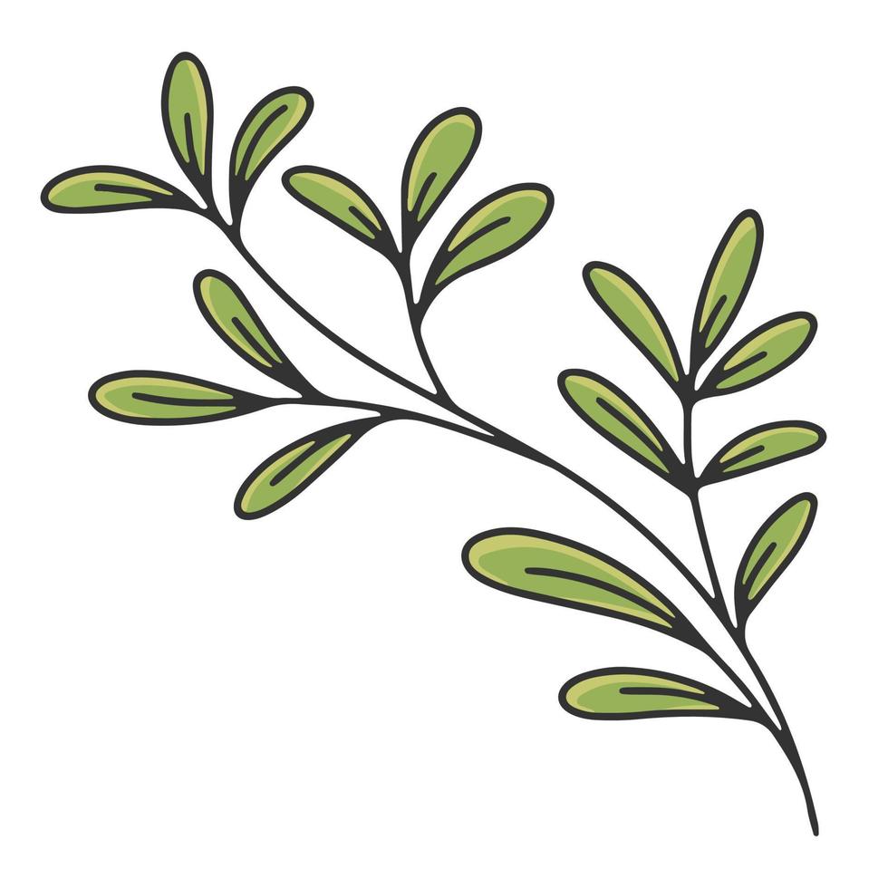 ramo d'ulivo con foglie. etichetta o logo dell'olio d'oliva per il negozio o il mercato di un agricoltore. emblema retrò di olio d'oliva biologico illustrazione vettoriale isolato su sfondo bianco.