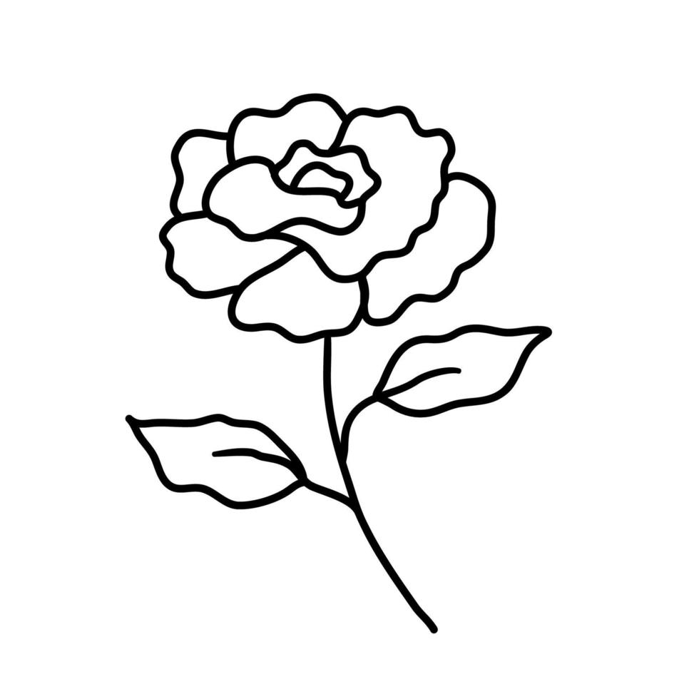 semplice fiore di rosa. bellissimo fiore singolo in stile contorno. illustrazione vettoriale isolato su sfondo bianco