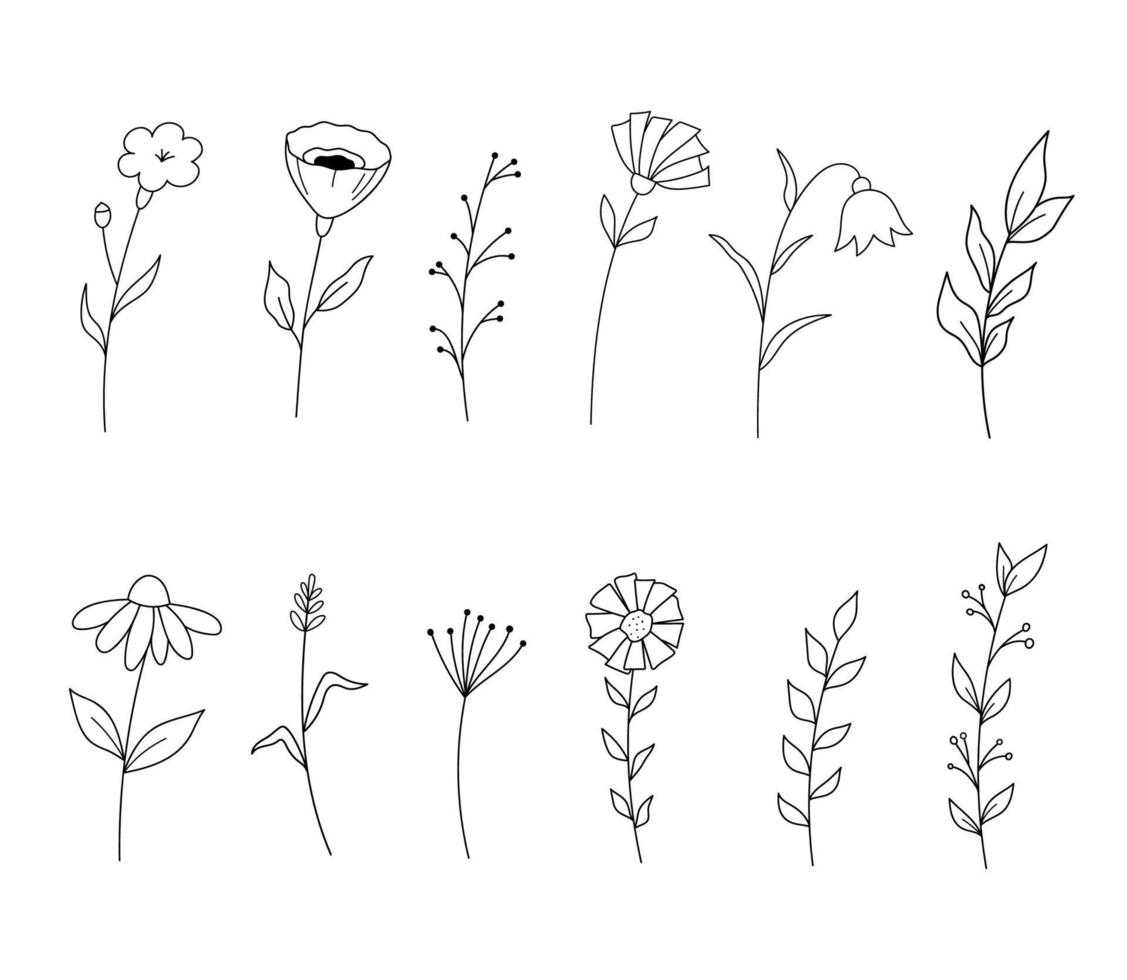 collezione di fiori e fiori di campo, disegno, linea arte, vettore. set di piante semplici isolate di una struttura su bianco vettore