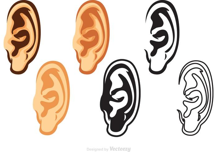 Pacchetto vettori orecchio umano