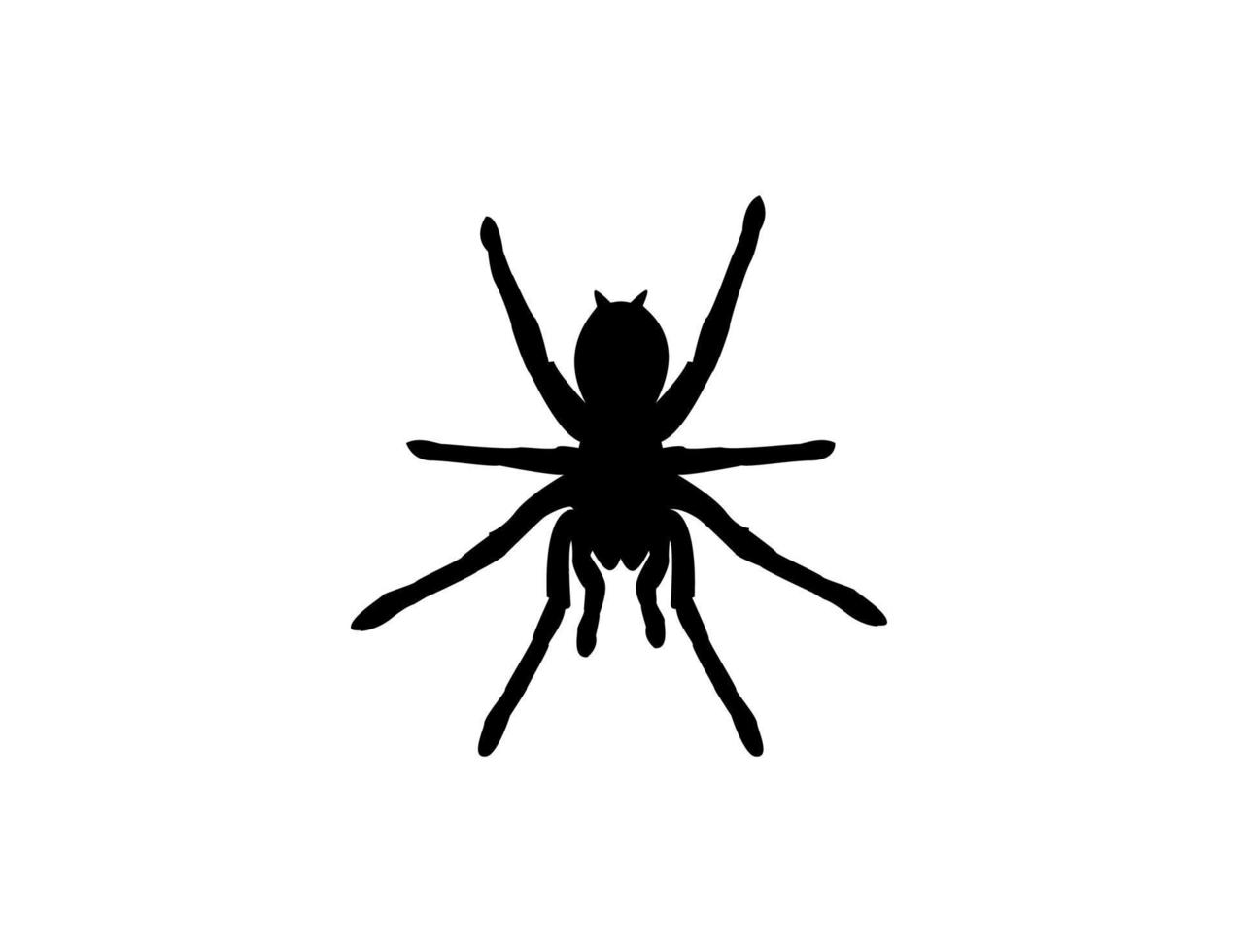 sagoma di un ragno tarantola su sfondo bianco. illustrazione di disegno vettoriale di clipart animali.