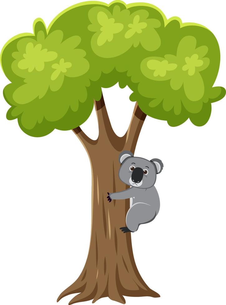 koala sul personaggio dei cartoni animati dell'albero vettore