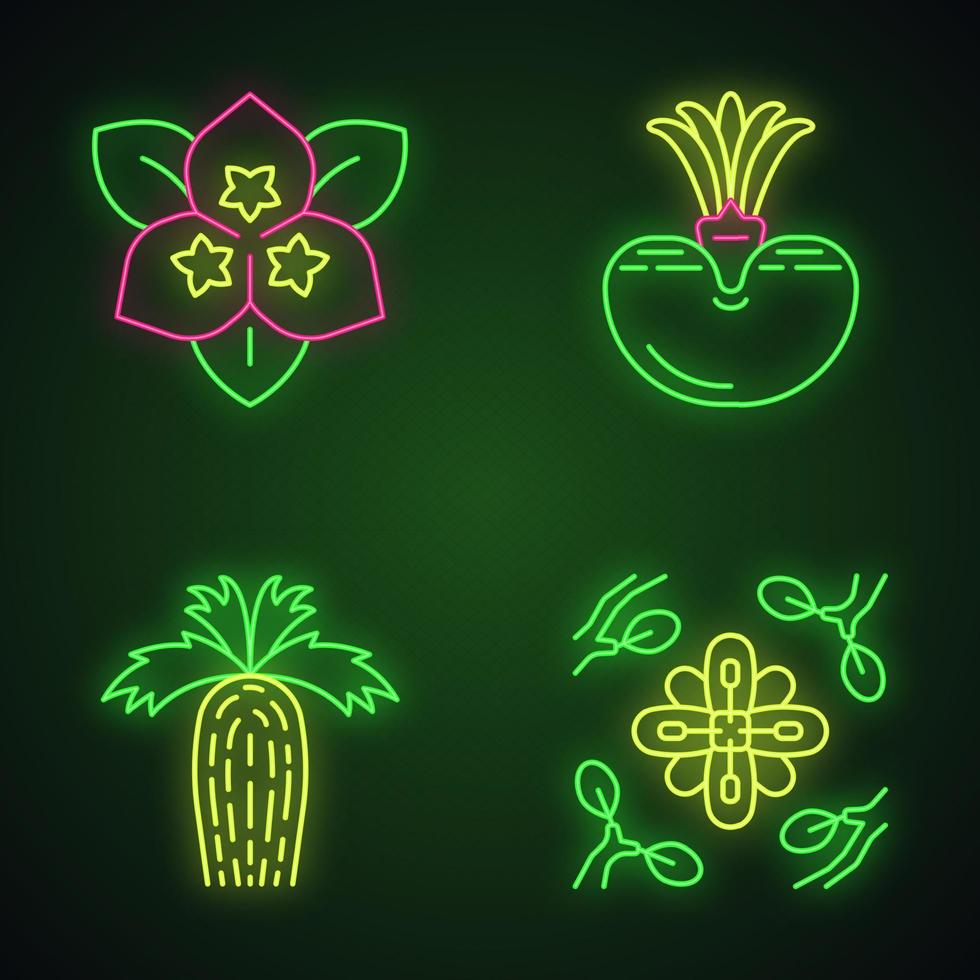 set di icone di luce al neon di piante del deserto. flora esotica. fiore di bouganville, pietra viva, palma a ventaglio della California, larrea. piante in luoghi asciutti. segni luminosi. illustrazioni vettoriali isolate