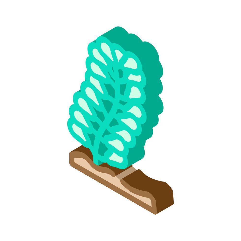 illustrazione vettoriale dell'icona isometrica dell'alga caulerpa lentillifera