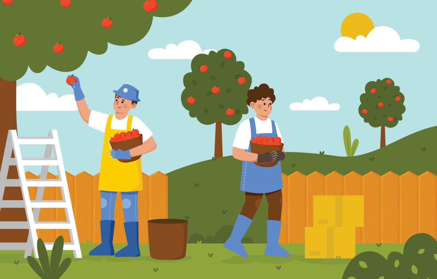 due uomini raccolgono le mele in giardino vettore