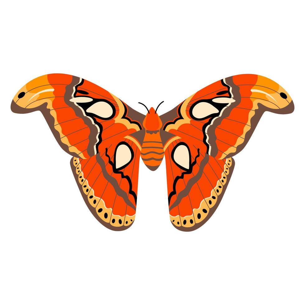 clipart dell'illustrazione di vettore della farfalla. carina farfalla isolata.
