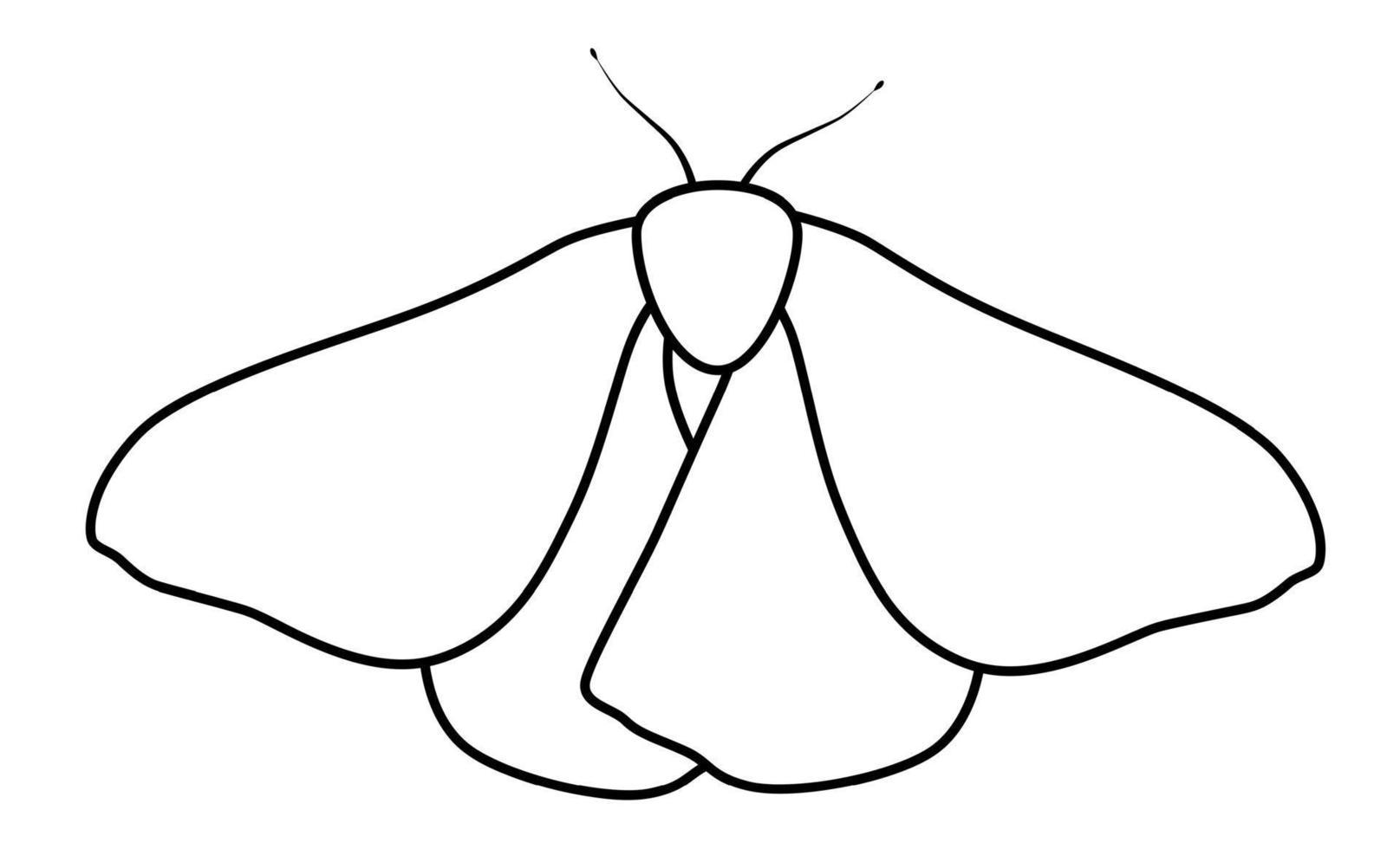 illustrazione di contorno di farfalla in bianco e nero. libro da colorare o pagina per bambini vettore
