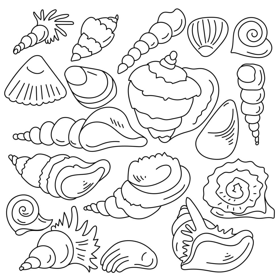 doodle set di conchiglie, delineare gli abitanti del mare e le loro conchiglie vettore