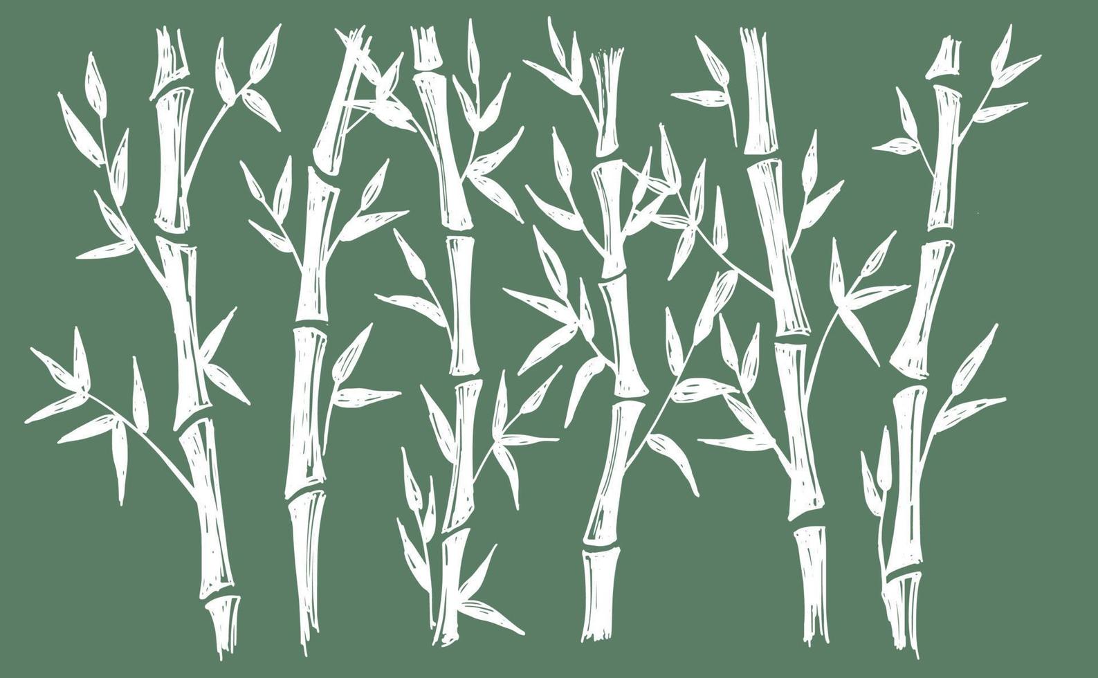 albero di bambù. stile disegnato a mano. illustrazioni vettoriali. vettore