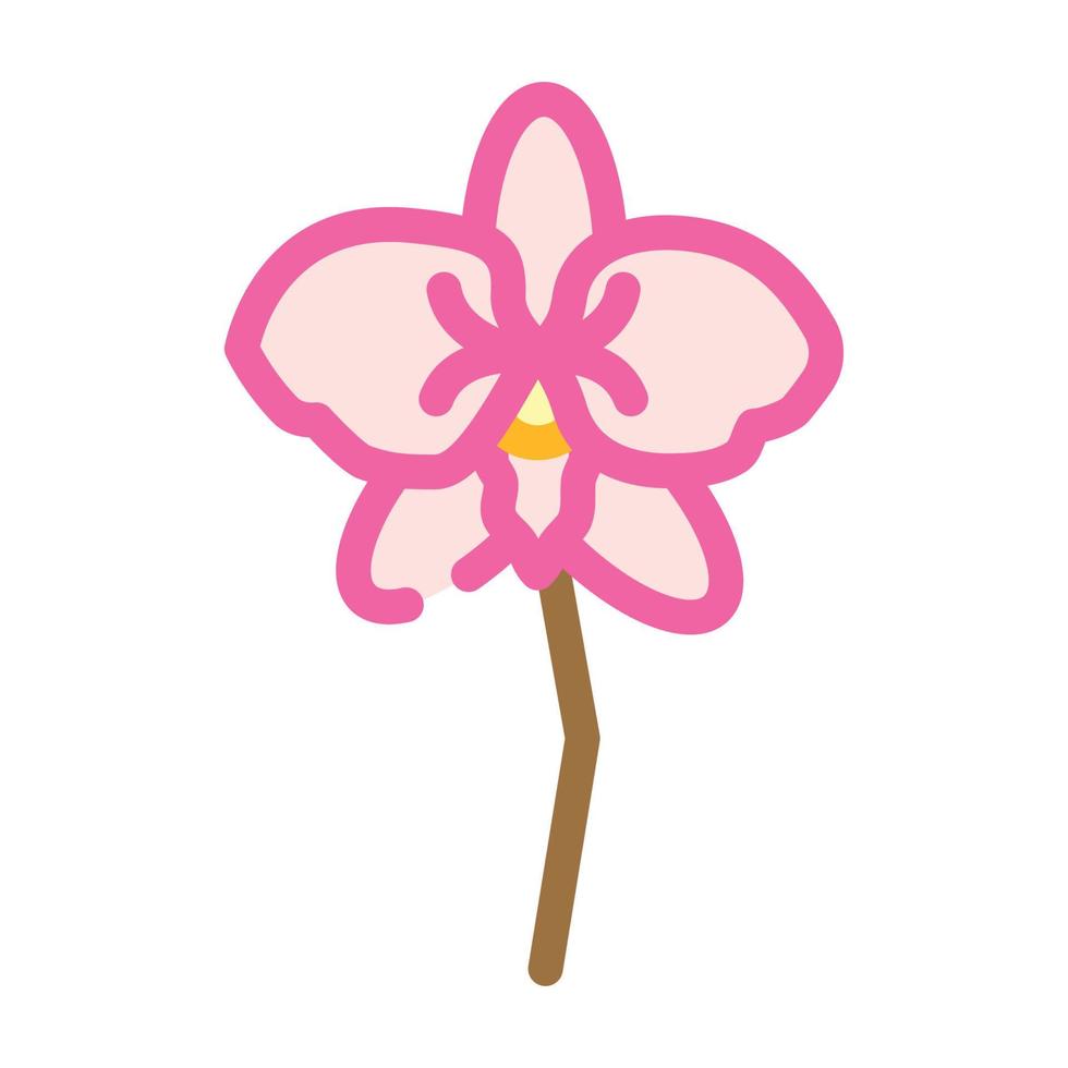 illustrazione vettoriale dell'icona del colore del fiore dell'aroma dell'orchidea