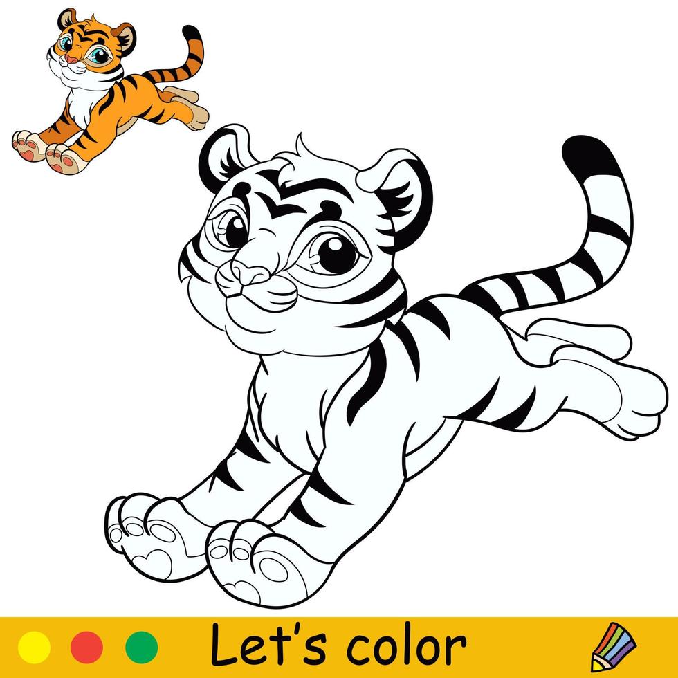 colorazione tigre carina e illustrazione vettoriale modello colorato