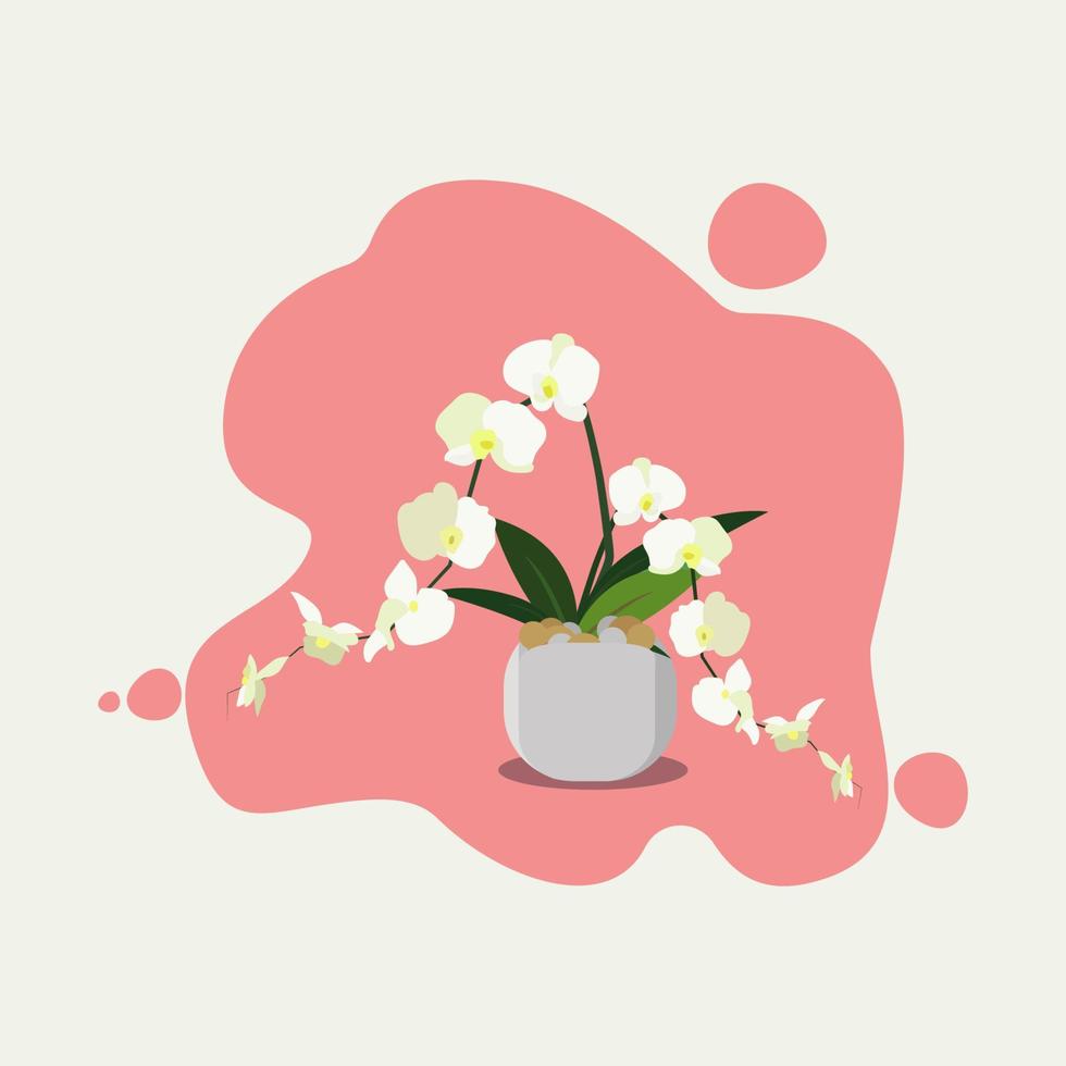 fiore bianco con illustrazione vettoriale vaso