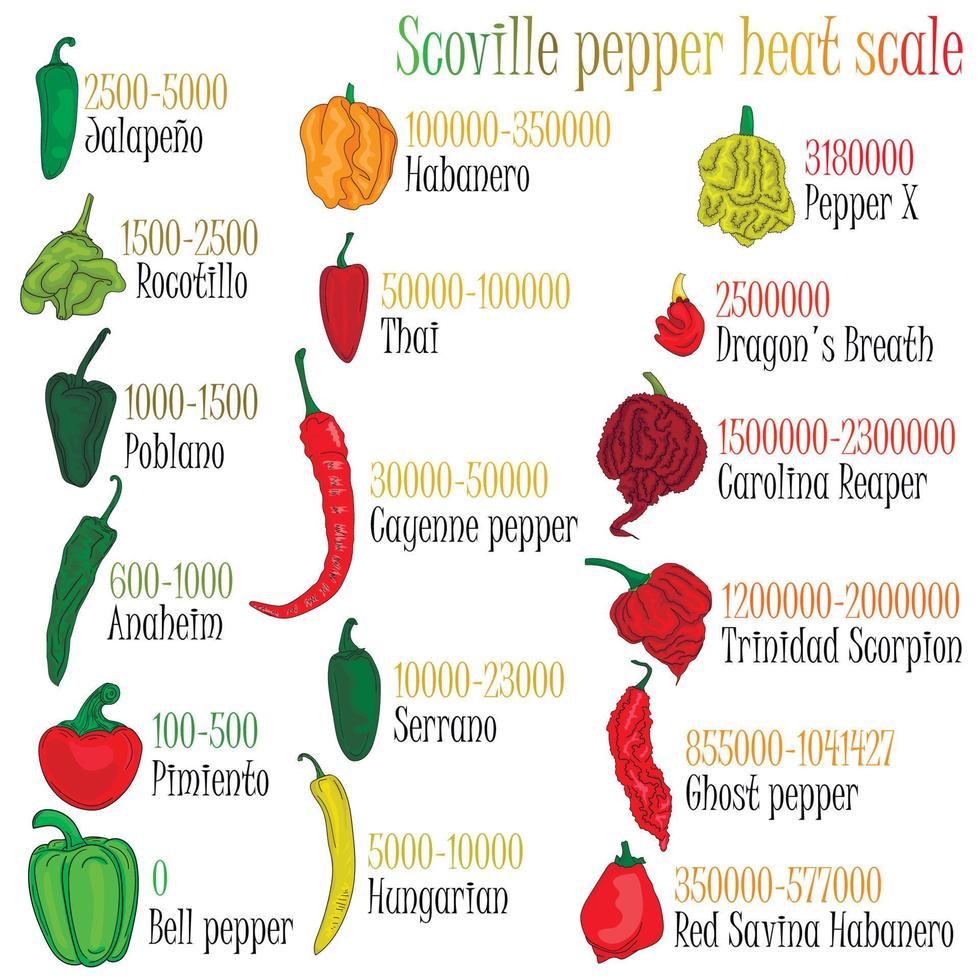 scala di calore al peperoncino di Scoville. illustrazione del peperone dal più dolce al molto piccante. vettore