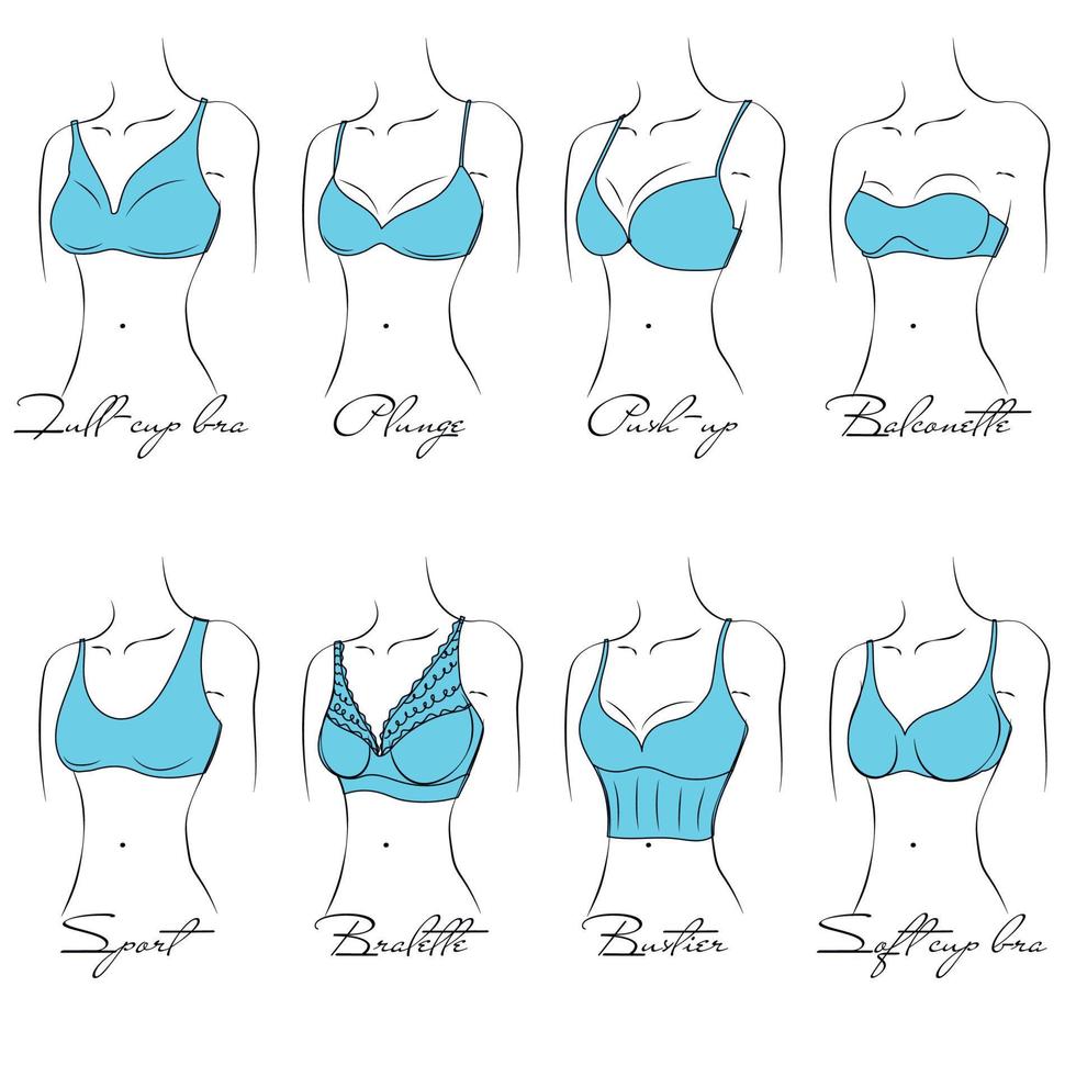 illustrazione del design e della varietà di reggiseni da donna. modelli di lingerie disegnati a mano. le brasserie sono classificate in vari stili in base a criteri. vettore