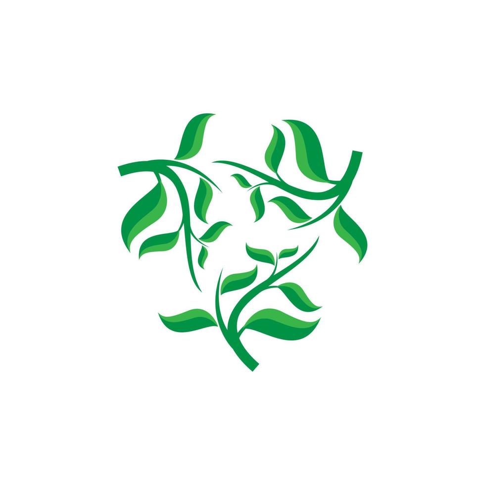 logo foglia verde. icona foglia. logo della natura. illustrazione vettoriale foglia verde.