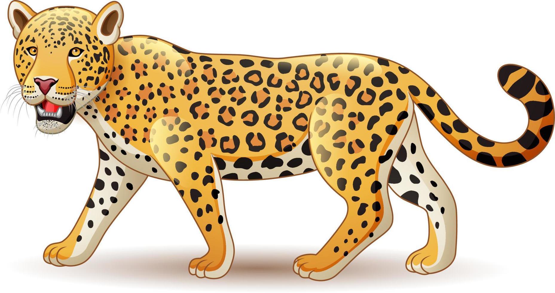 leopardo del fumetto isolato su priorità bassa bianca vettore