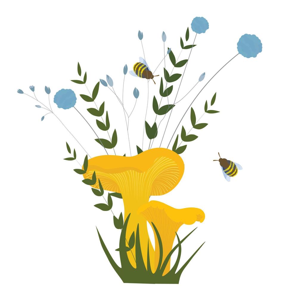 Illustrazione di riserva di vettore dei finferli. Isolato su uno sfondo bianco. funghi ostrica gialli.